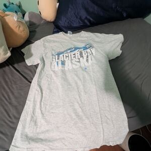 Delta Pro Weight Gray T-Shirt